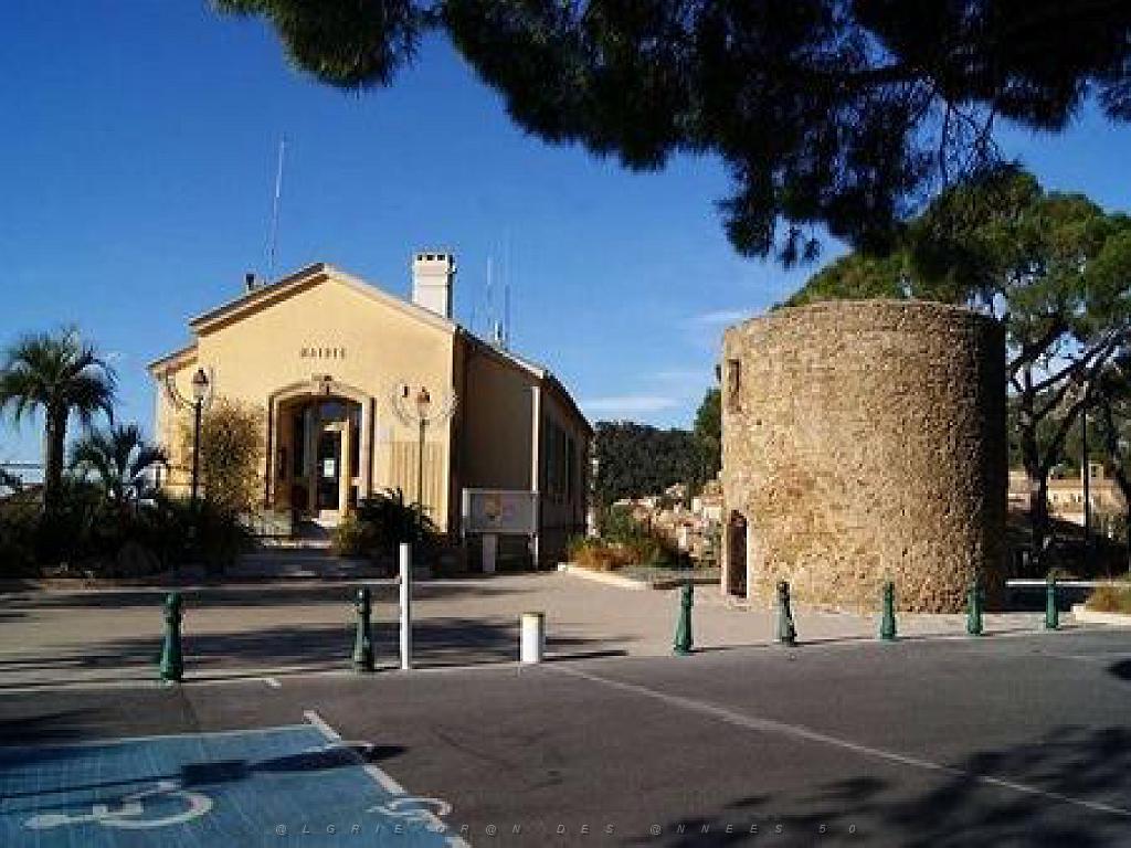 183 D24 BORMES LES MIMOSAS 2_000013.jpg